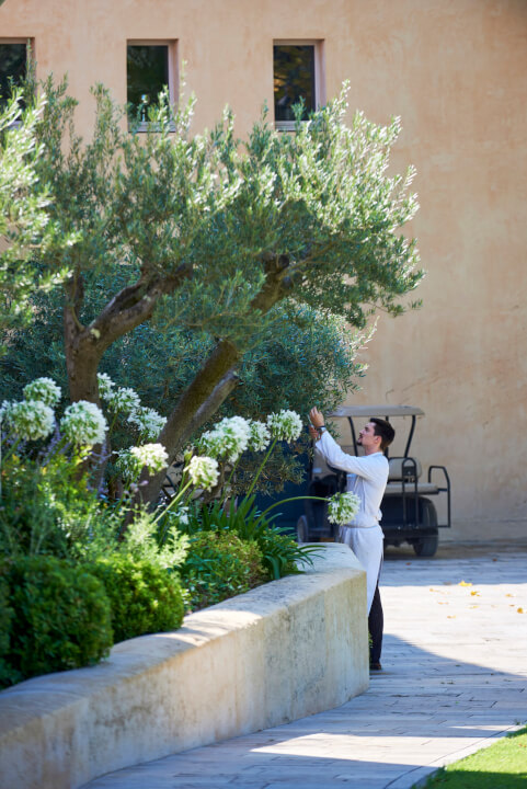 Domaine de Manville : une étoile belge aux Baux de Provence - Birdiemag